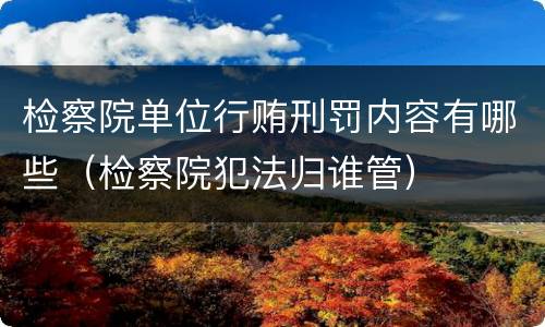 检察院单位行贿刑罚内容有哪些（检察院犯法归谁管）
