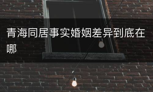 青海同居事实婚姻差异到底在哪