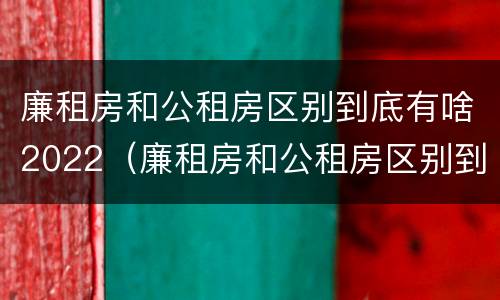 廉租房和公租房区别到底有啥2022（廉租房和公租房区别到底有啥2022年的）