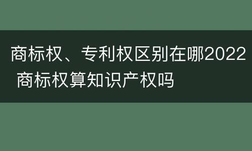 商标权、专利权区别在哪2022 商标权算知识产权吗