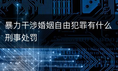 暴力干涉婚姻自由犯罪有什么刑事处罚