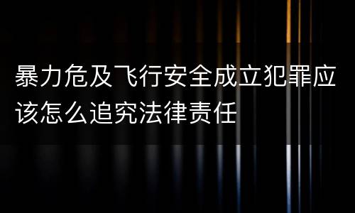 暴力危及飞行安全成立犯罪应该怎么追究法律责任