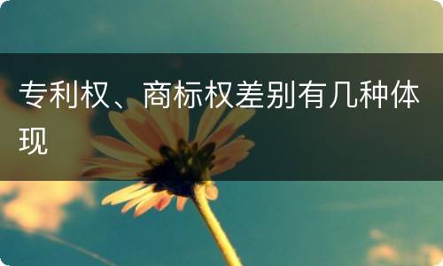 专利权、商标权差别有几种体现