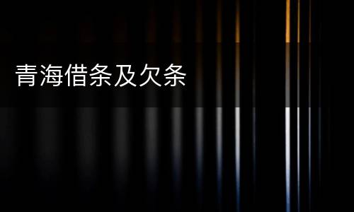 青海借条及欠条