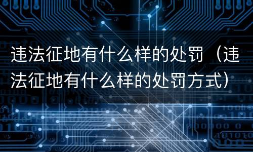 违法征地有什么样的处罚（违法征地有什么样的处罚方式）