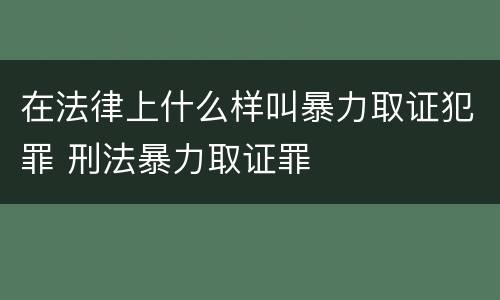 在法律上什么样叫暴力取证犯罪 刑法暴力取证罪