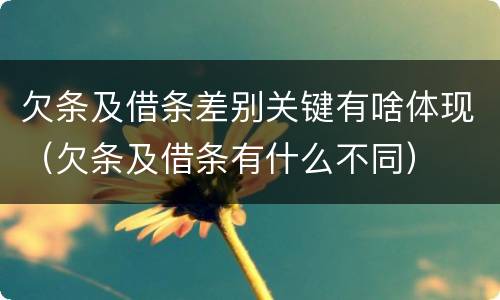 欠条及借条差别关键有啥体现（欠条及借条有什么不同）