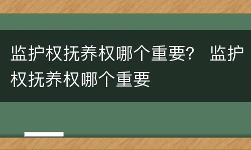 监护权抚养权哪个重要？ 监护权抚养权哪个重要