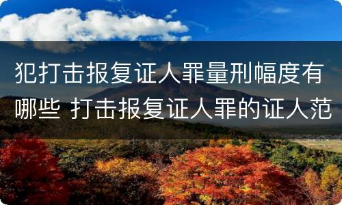 犯打击报复证人罪量刑幅度有哪些 打击报复证人罪的证人范围