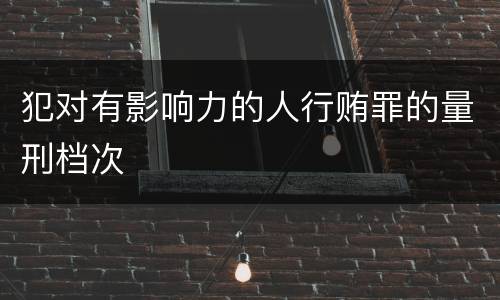 犯对有影响力的人行贿罪的量刑档次