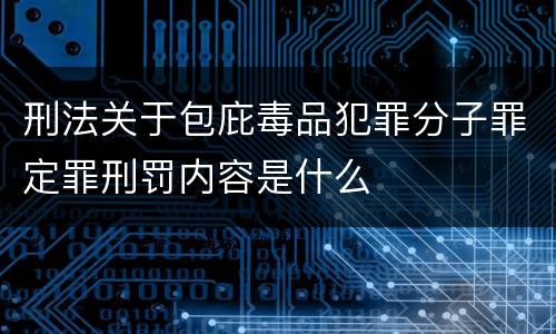 刑法关于包庇毒品犯罪分子罪定罪刑罚内容是什么