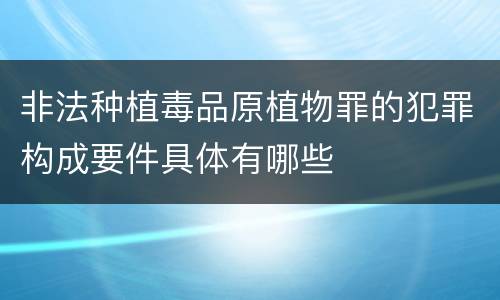 非法种植毒品原植物罪的犯罪构成要件具体有哪些