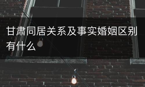 甘肃同居关系及事实婚姻区别有什么