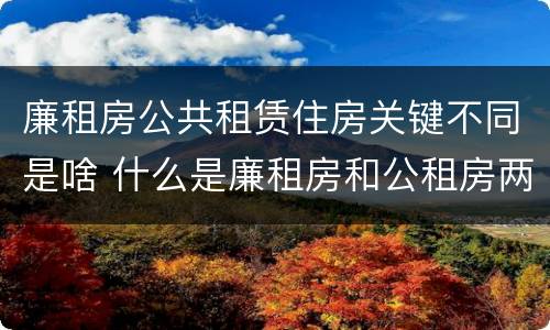 廉租房公共租赁住房关键不同是啥 什么是廉租房和公租房两个有什么特点