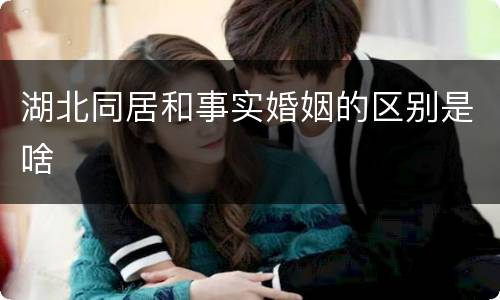 湖北同居和事实婚姻的区别是啥