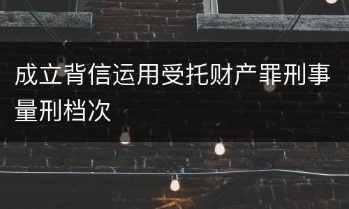 成立背信运用受托财产罪刑事量刑档次