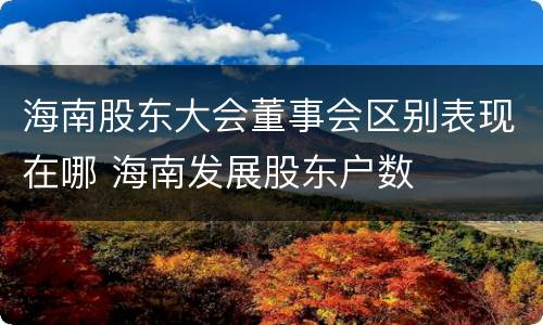 海南股东大会董事会区别表现在哪 海南发展股东户数