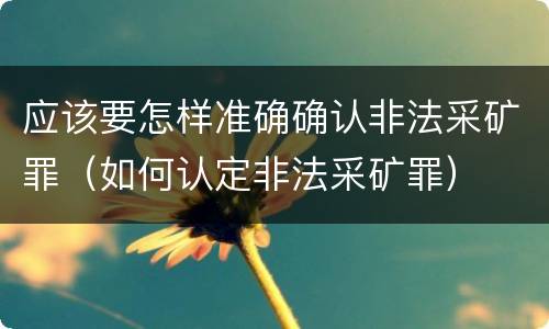 应该要怎样准确确认非法采矿罪（如何认定非法采矿罪）