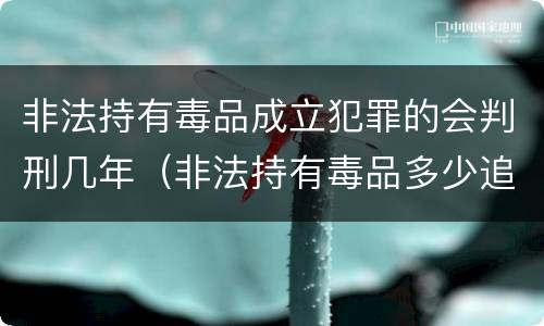 非法持有毒品成立犯罪的会判刑几年（非法持有毒品多少追究刑事责任）