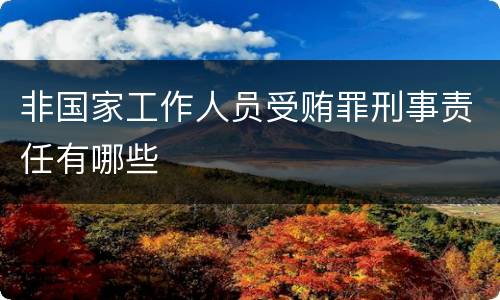非国家工作人员受贿罪刑事责任有哪些