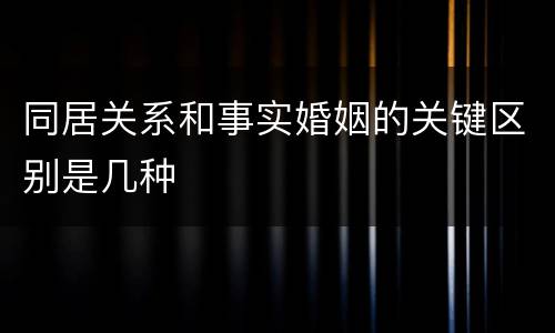 同居关系和事实婚姻的关键区别是几种