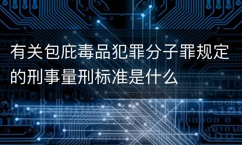 有关包庇毒品犯罪分子罪规定的刑事量刑标准是什么