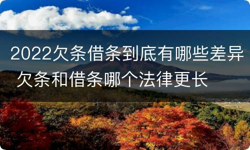 2022欠条借条到底有哪些差异 欠条和借条哪个法律更长