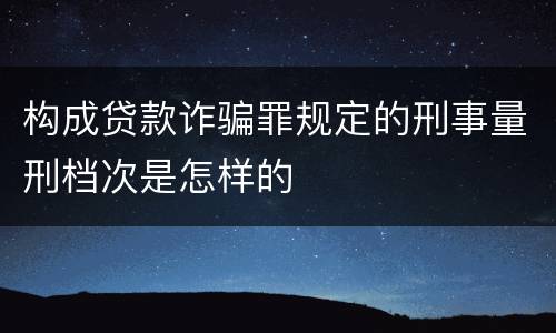 构成贷款诈骗罪规定的刑事量刑档次是怎样的
