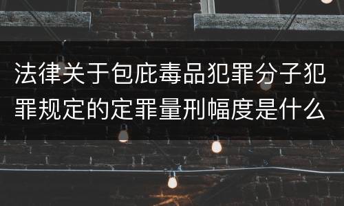 法律关于包庇毒品犯罪分子犯罪规定的定罪量刑幅度是什么