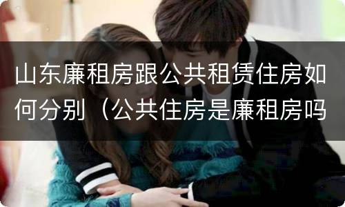山东廉租房跟公共租赁住房如何分别（公共住房是廉租房吗）