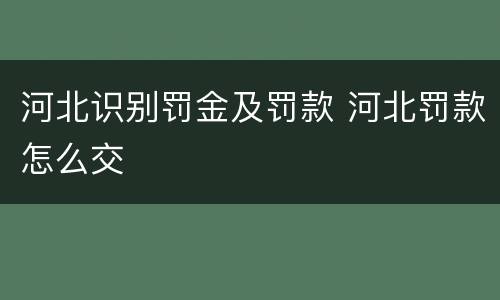 河北识别罚金及罚款 河北罚款怎么交