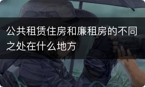公共租赁住房和廉租房的不同之处在什么地方