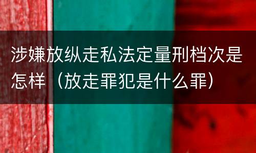 涉嫌放纵走私法定量刑档次是怎样（放走罪犯是什么罪）