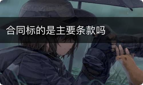 合同标的是主要条款吗