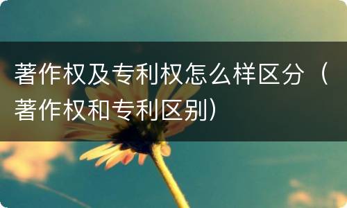 著作权及专利权怎么样区分（著作权和专利区别）