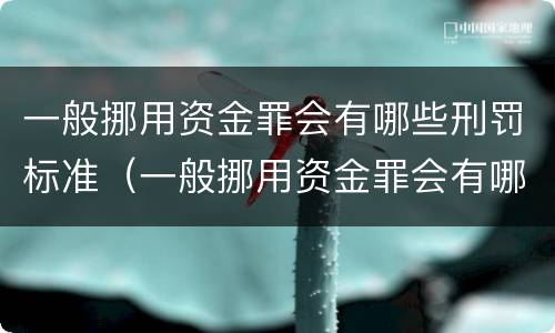 一般挪用资金罪会有哪些刑罚标准（一般挪用资金罪会有哪些刑罚标准规定）