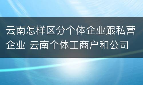 云南怎样区分个体企业跟私营企业 云南个体工商户和公司