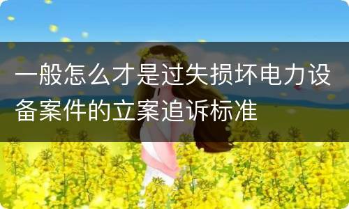 一般怎么才是过失损坏电力设备案件的立案追诉标准