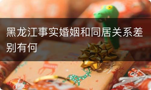 黑龙江事实婚姻和同居关系差别有何