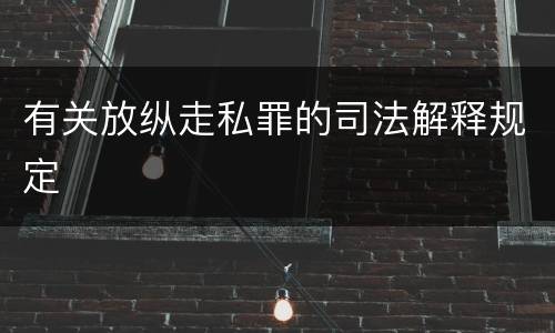 有关放纵走私罪的司法解释规定
