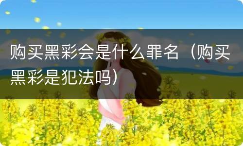 购买黑彩会是什么罪名（购买黑彩是犯法吗）