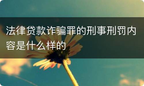法律贷款诈骗罪的刑事刑罚内容是什么样的