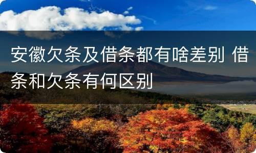 安徽欠条及借条都有啥差别 借条和欠条有何区别