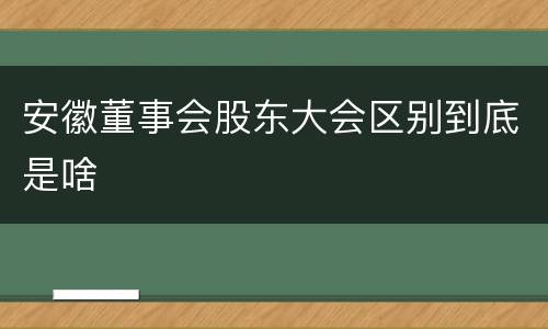 安徽董事会股东大会区别到底是啥