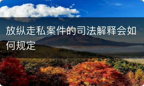 放纵走私案件的司法解释会如何规定