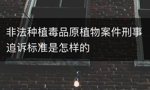 非法种植毒品原植物案件刑事追诉标准是怎样的