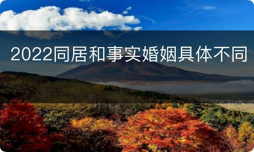 2022同居和事实婚姻具体不同