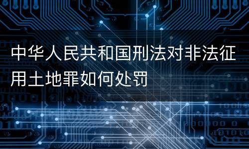 中华人民共和国刑法对非法征用土地罪如何处罚
