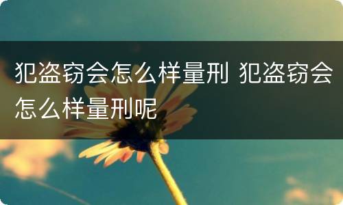 犯盗窃会怎么样量刑 犯盗窃会怎么样量刑呢
