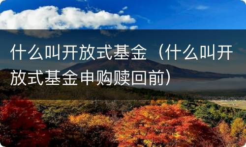 什么叫开放式基金（什么叫开放式基金申购赎回前）